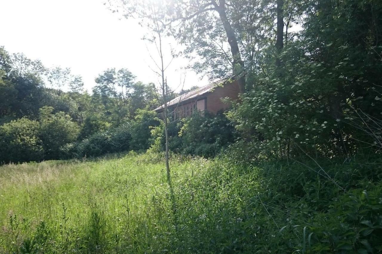 Chalet Forsthof Everstorf 格雷沃斯米伦 外观 照片
